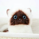Realistic Plush Cat – Soft Decorative Stuffed Animal with Blue Eyes